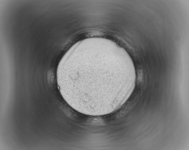 X0000110860715200907091340