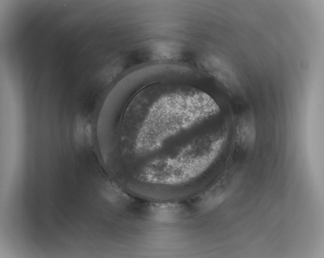 X0000110860716200907091340