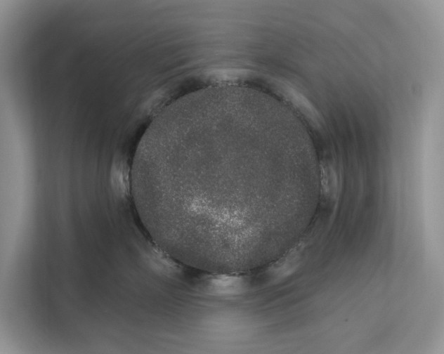 X0000110860718200907091340