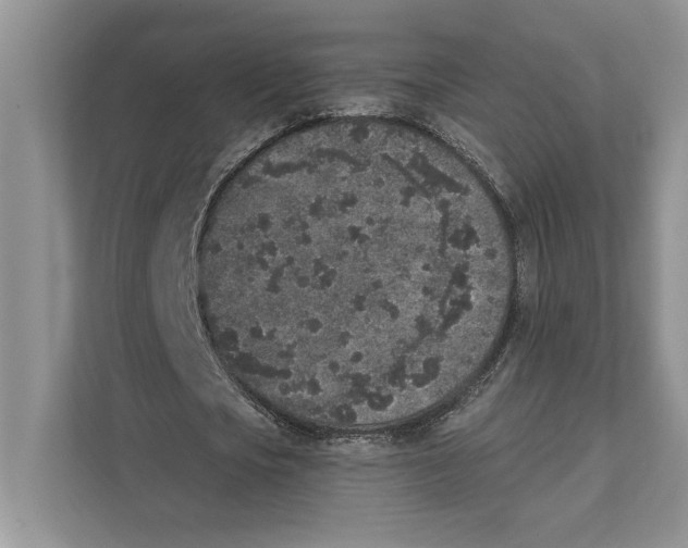 X0000110860721200907091339