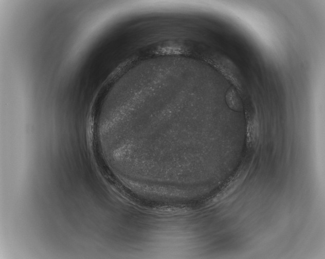 X0000110860722200907091340