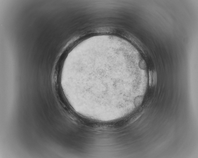 X0000110860723200907091340