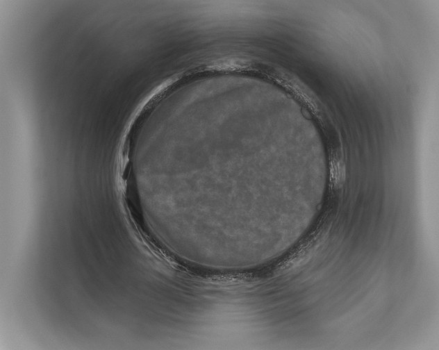 X0000110860724200907091340