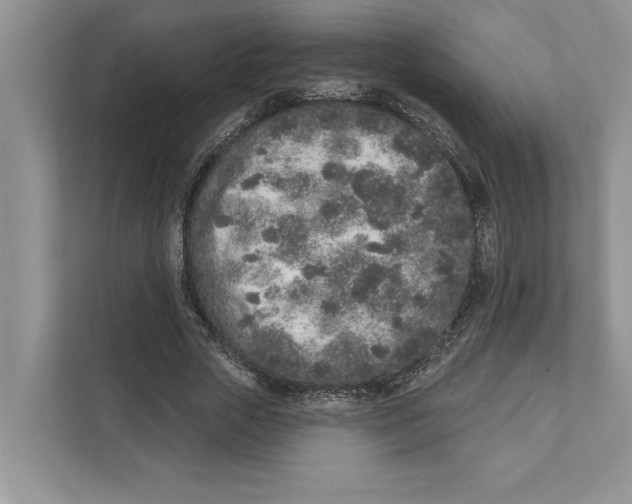 X0000110860729200907091340