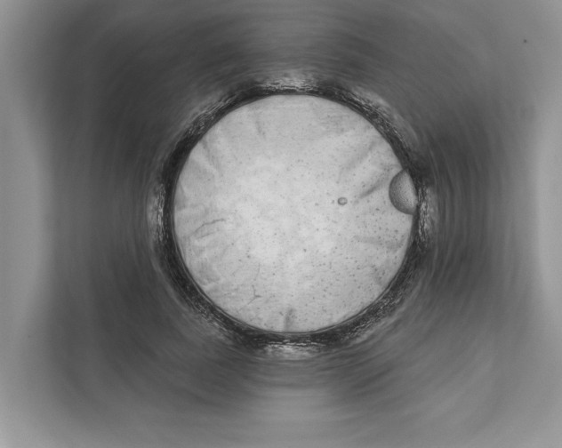 X0000110860739200907091340