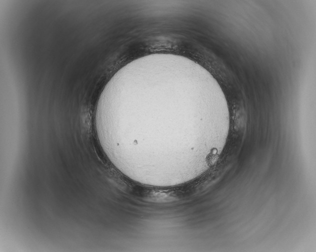 X0000110860753200907091340