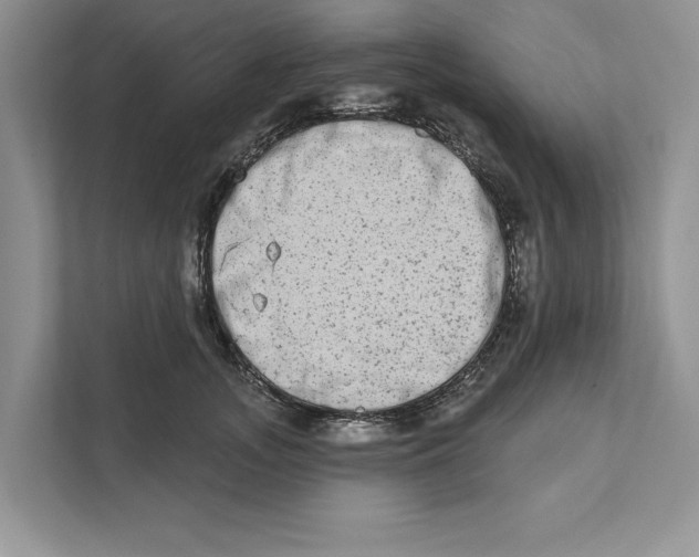 X0000110860755200907091340