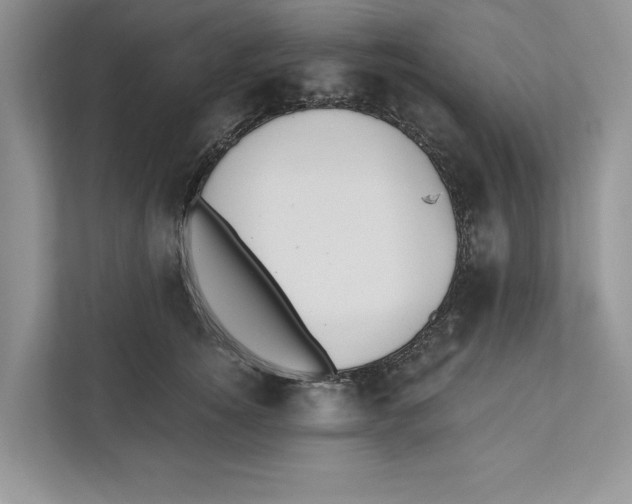 X0000110860756200907091340