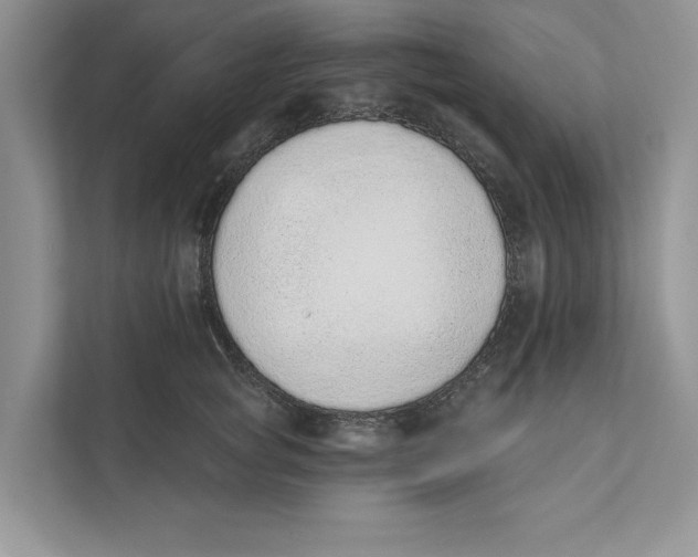 X0000110860757200907091340