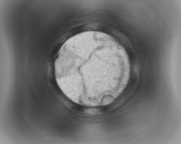 X0000110860759200907091340