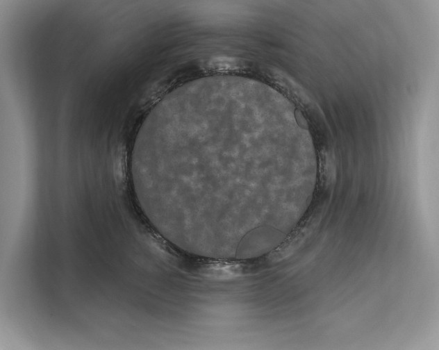 X0000110860760200907091340