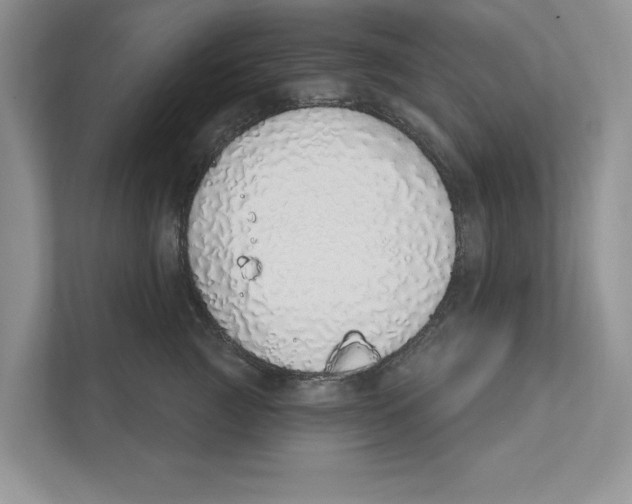 X0000110860761200907091340