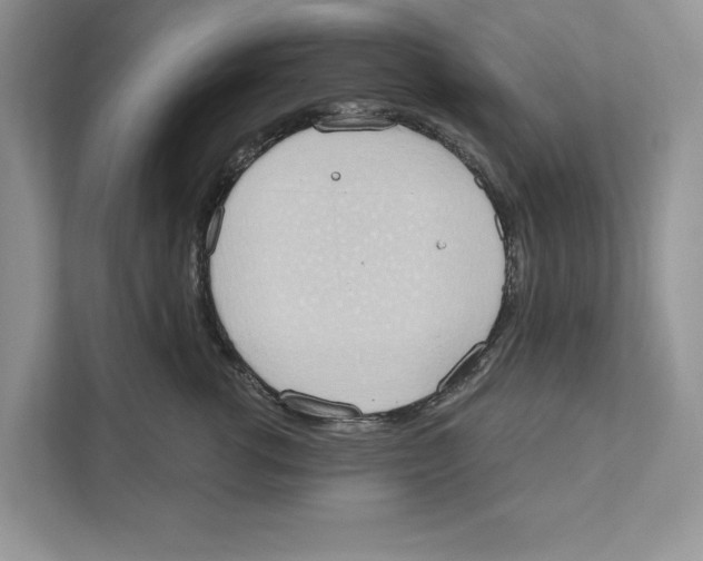 X0000110860762200907091340