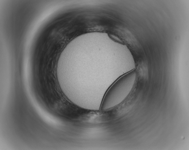 X0000110860764200907091340