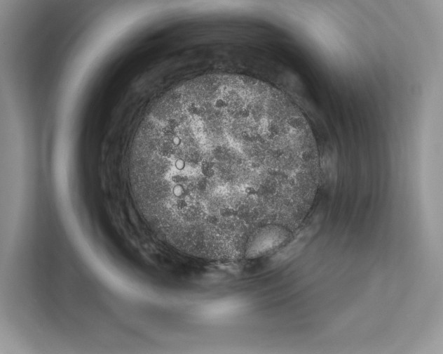 X0000110860765200907091340