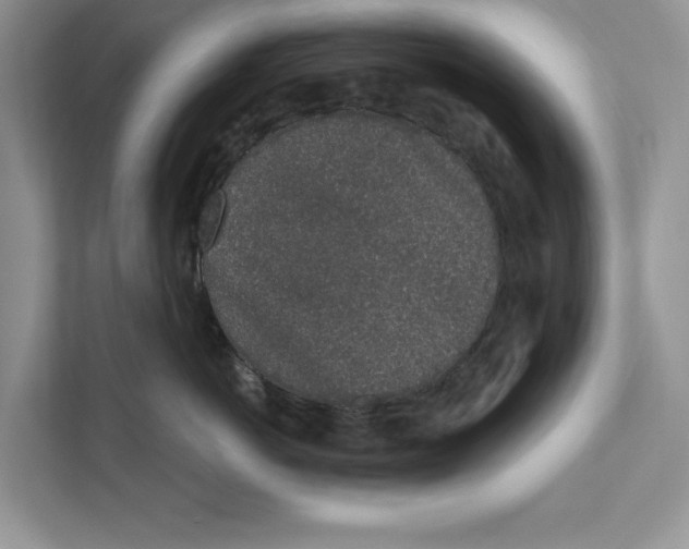 X0000110860766200907091340