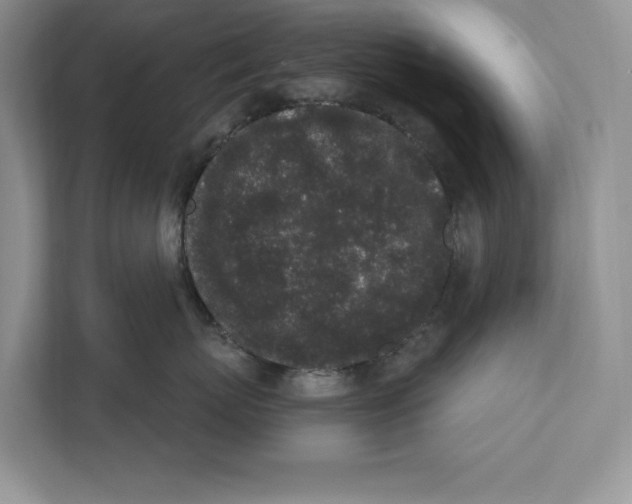 X0000110860767200907091340