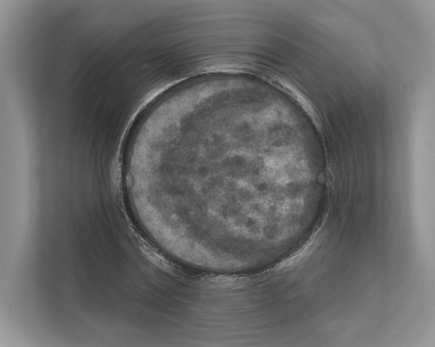 X0000110860779200907091339