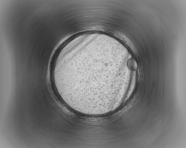 X0000110860780200907091339