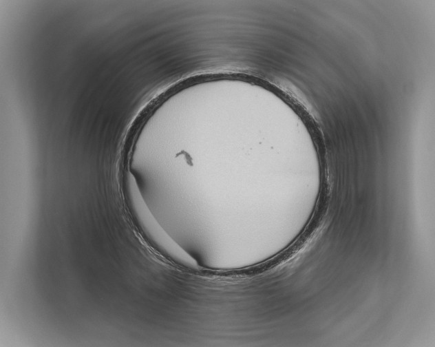 X0000110860781200907091339