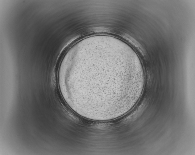 X0000110860782200907091339