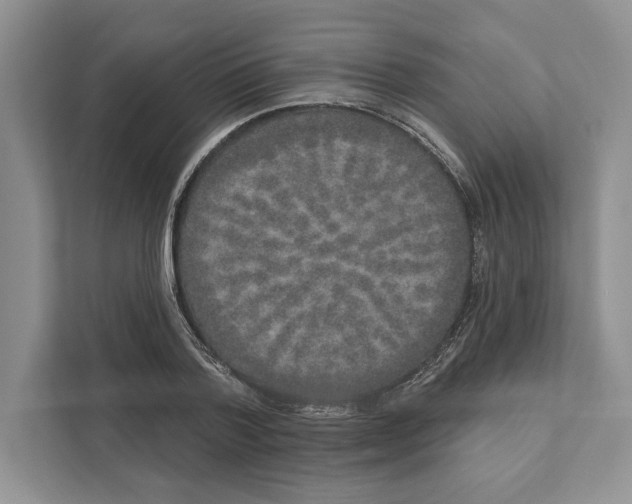 X0000110860788200907091339