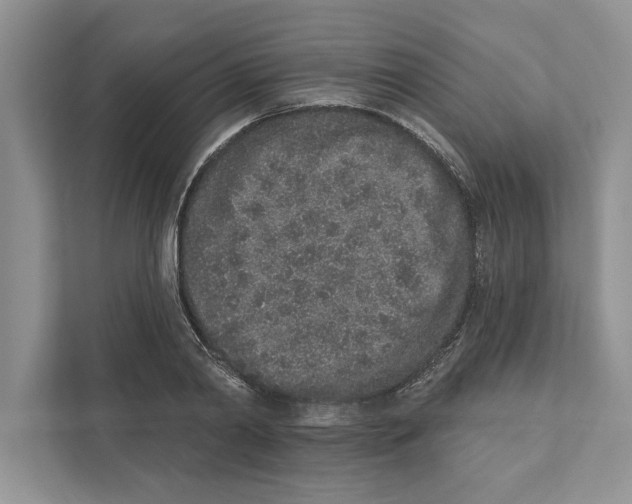 X0000110860790200907091339