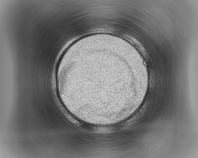 X0000110860796200907091339