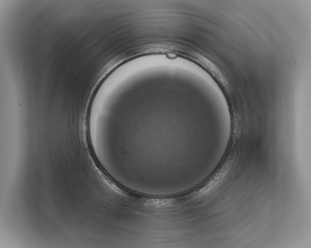 X0000110860802200907091339