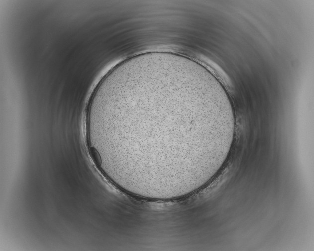 X0000110860804200907091339