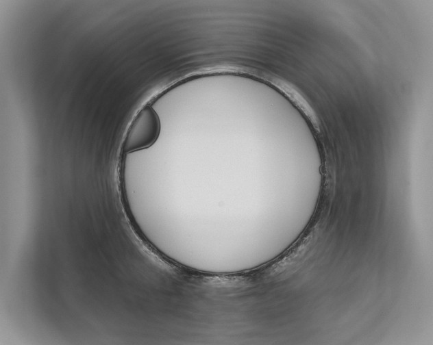 X0000110860805200907091339