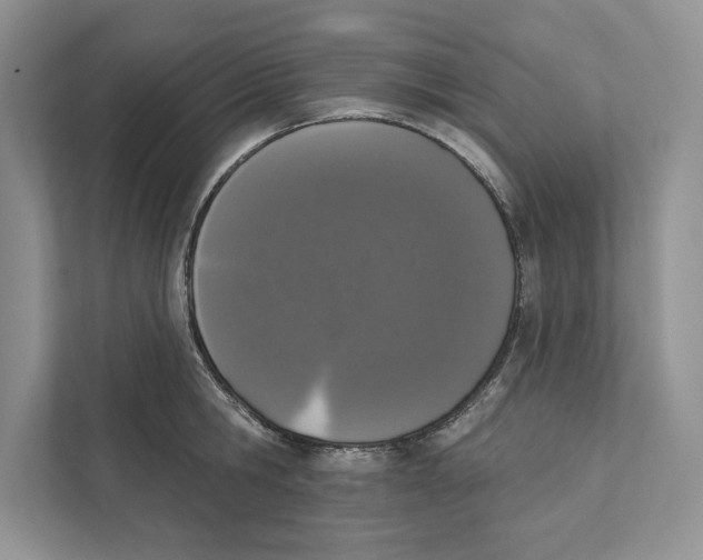 X0000110860806200907091339