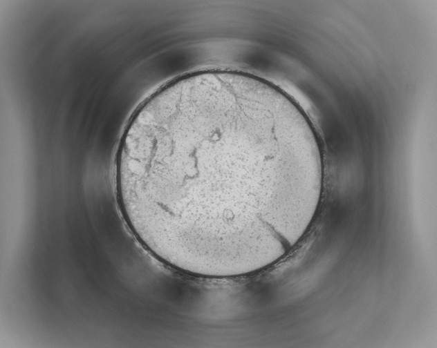 X0000110860807200907091339