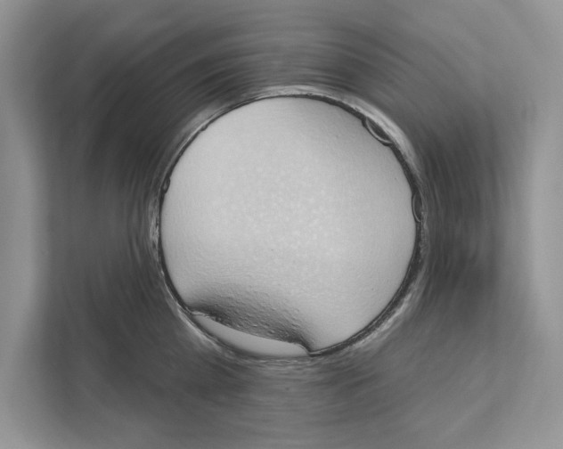 X0000110860809200907091339