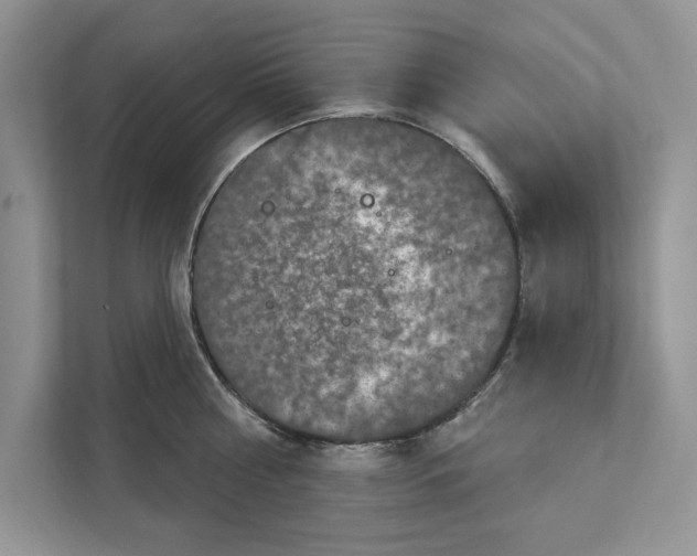 X0000110860810200907091339