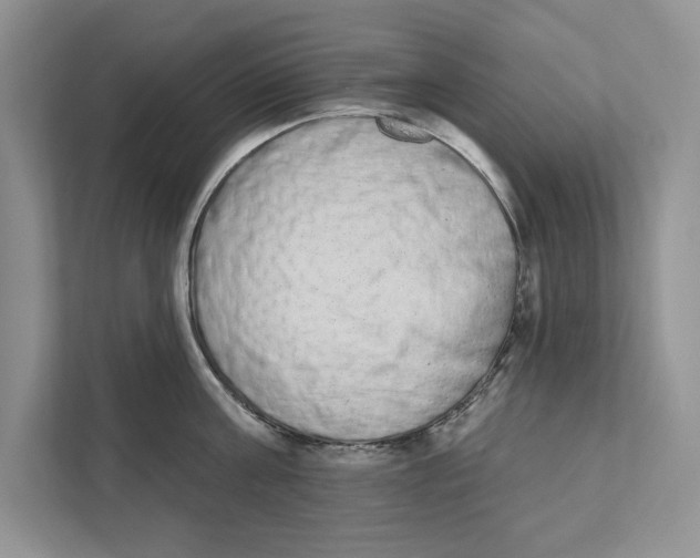 X0000110860811200907091339