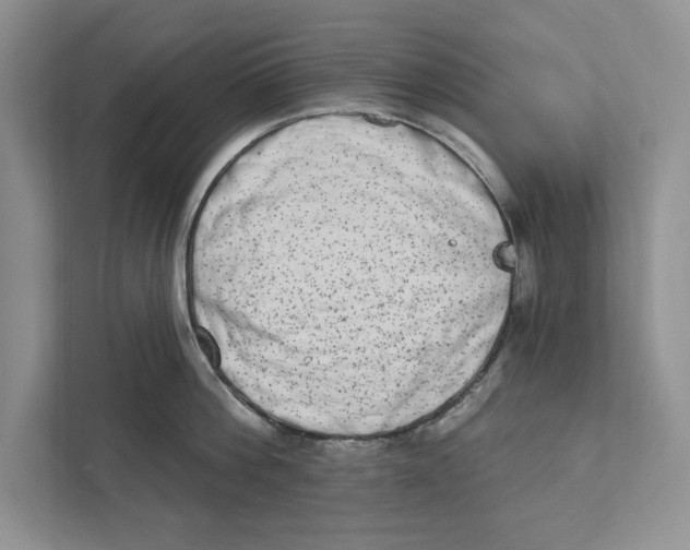 X0000110860812200907091339