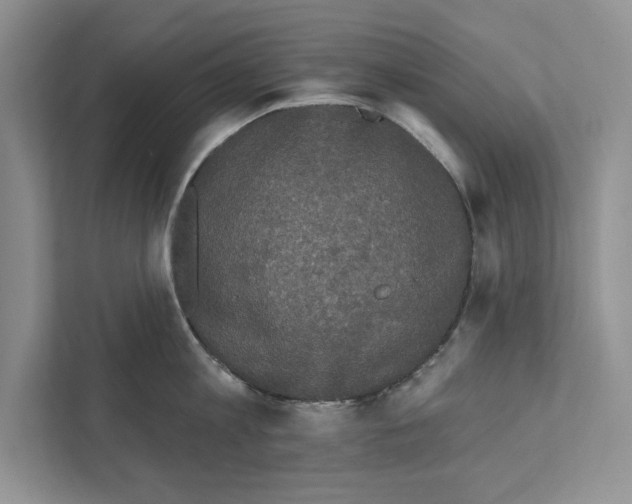 X0000110860813200907091339