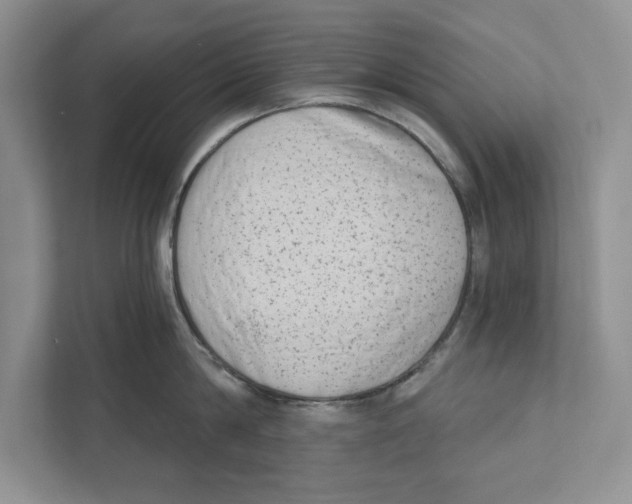 X0000110860814200907091339