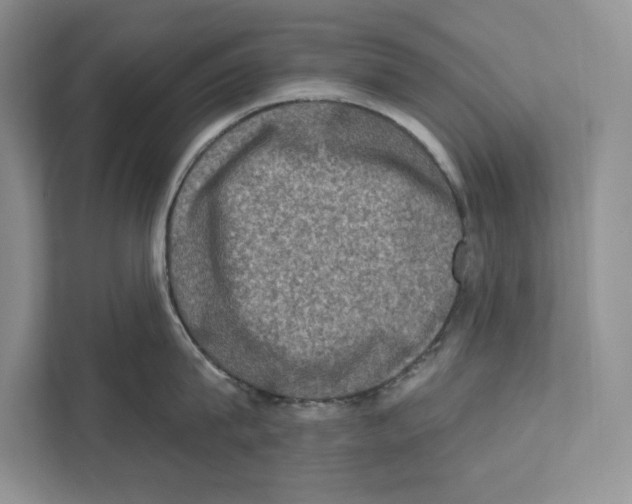 X0000110860815200907091339