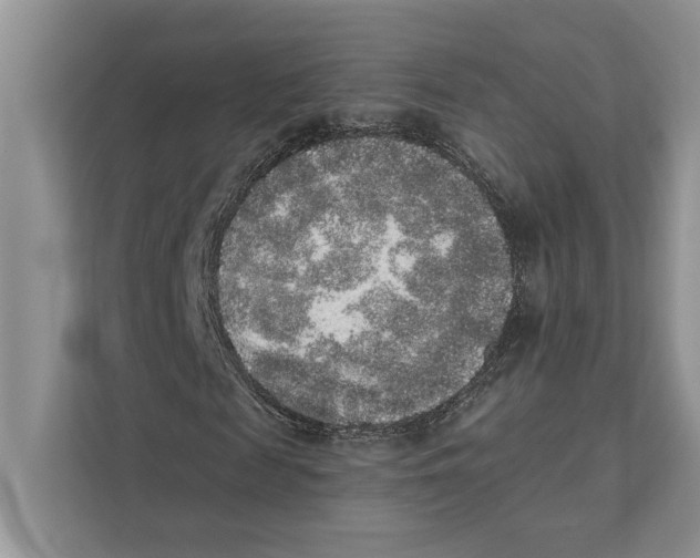 X0000110860817200907091338