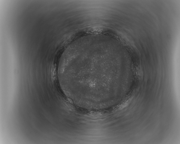 X0000110860818200907091338