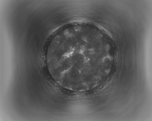 X0000110860822200907091338