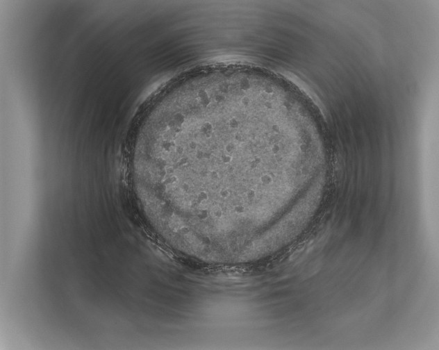 X0000110860823200907091338