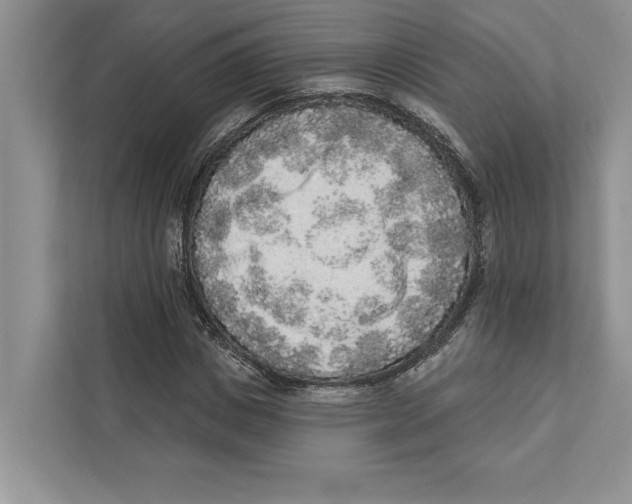 X0000110860825200907091338