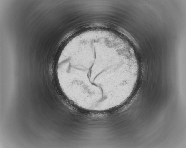 X0000110860826200907091338