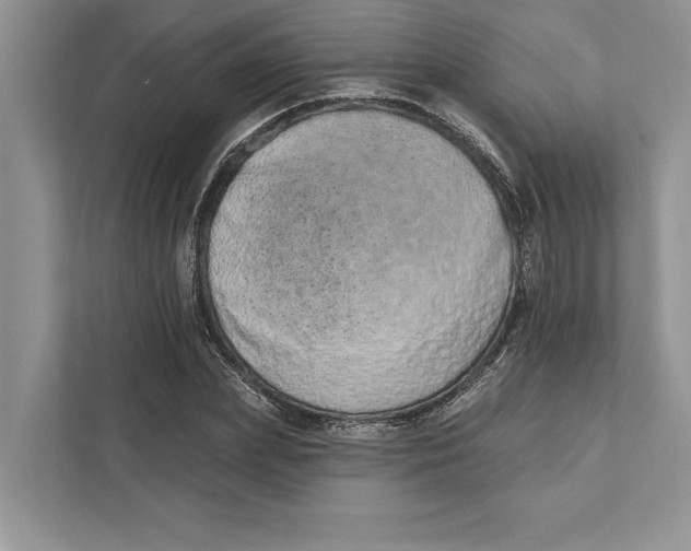 X0000110860831200907091338