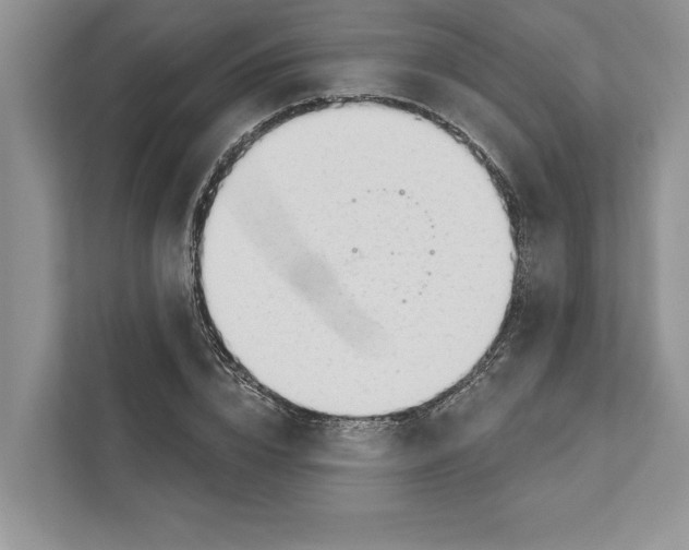 X0000110860832200907091338