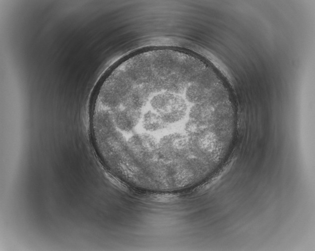 X0000110860837200907091338