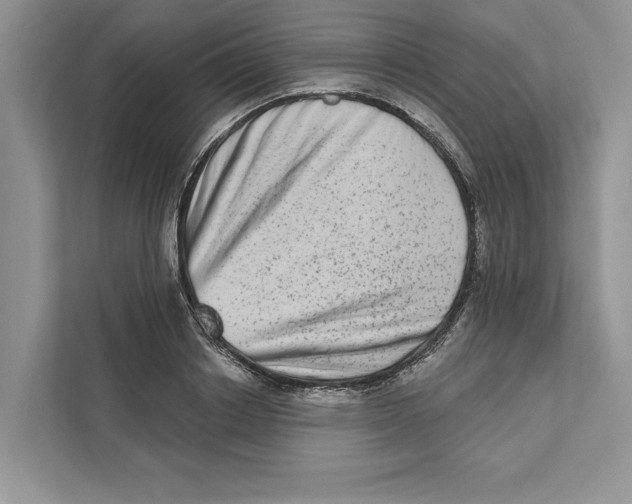 X0000110860842200907091339